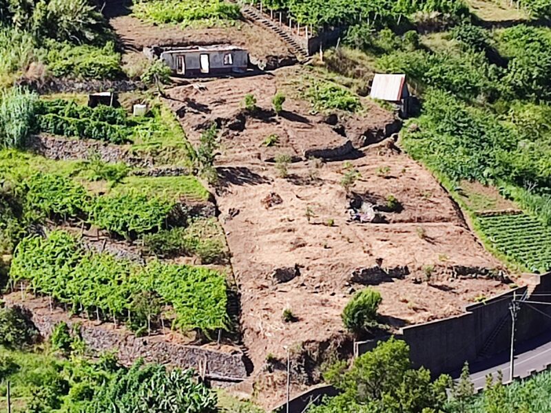 Limpeza de terreno com roçadora e motosserra