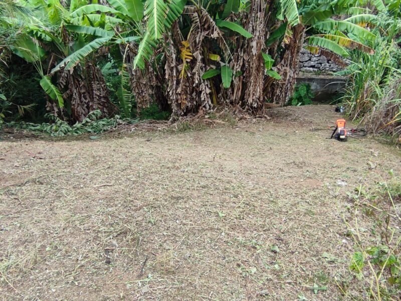 Limpeza de terreno com roçadora e motosserra