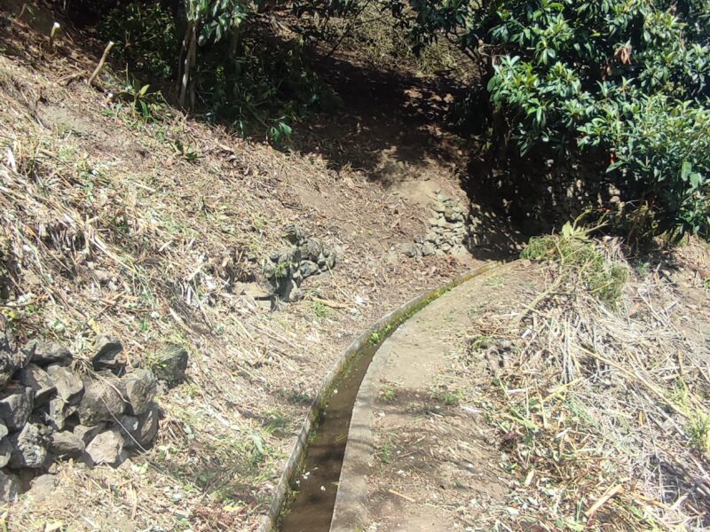 Limpeza de terreno com roçadora e motosserra